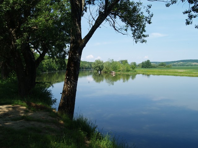 Streda nad Bodrogom