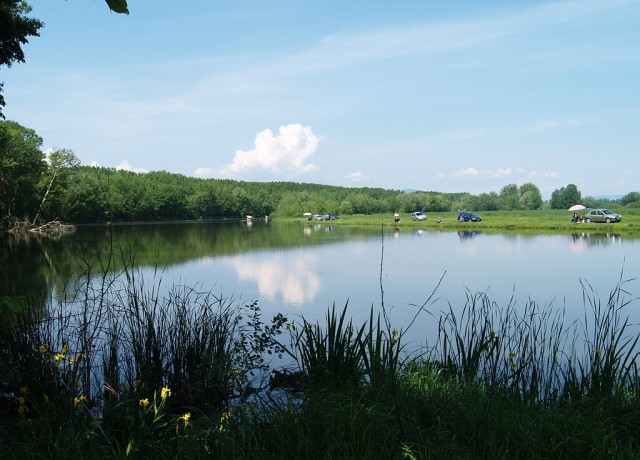 Streda nad Bodrogom
