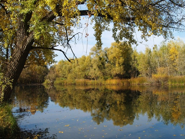 Streda nad Bodrogom