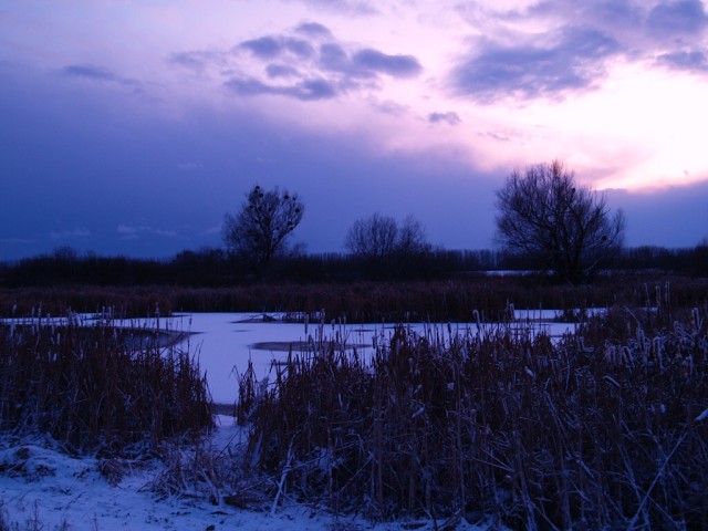 Streda nad Bodrogom