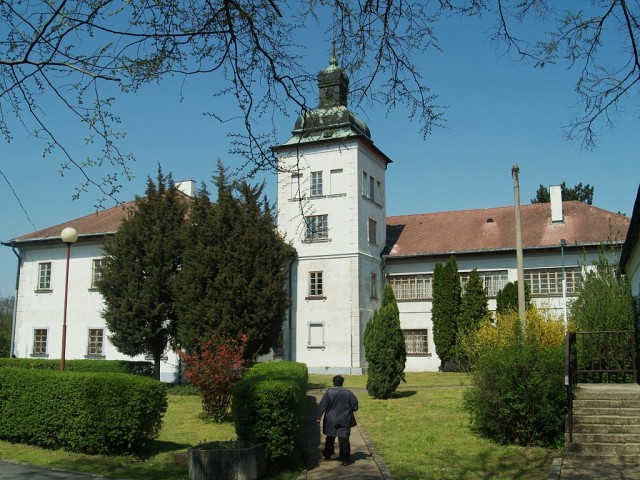 Streda nad Bodrogom