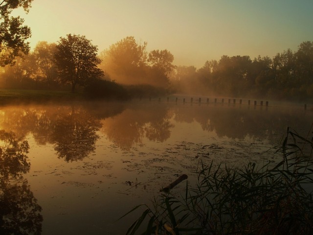 Streda nad Bodrogom