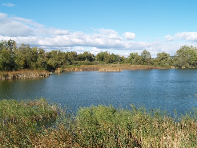 Streda nad Bodrogom