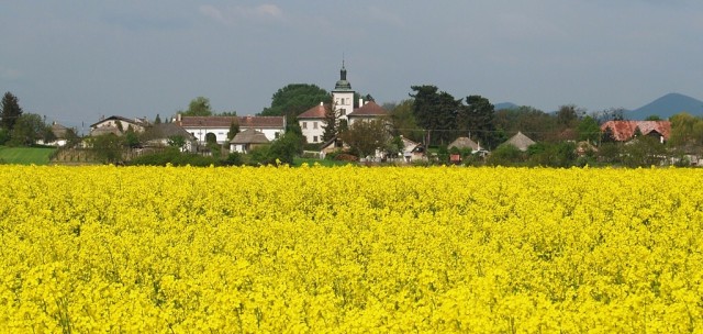Streda nad Bodrogom