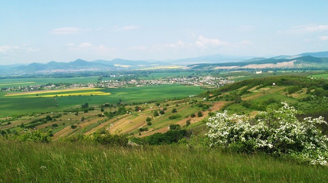 Streda nad Bodrogom