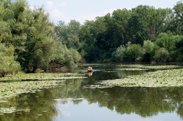 Streda nad Bodrogom