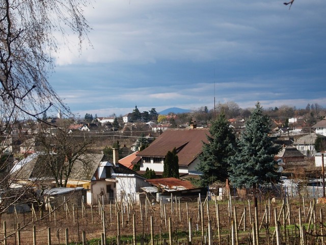 Streda nad Bodrogom