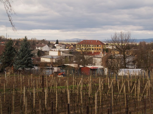 Streda nad Bodrogom