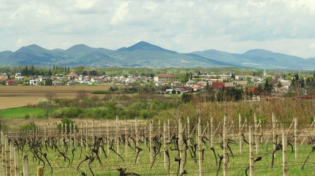 Streda nad Bodrogom
