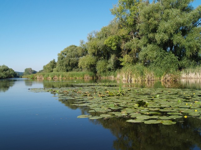 Streda nad Bodrogom