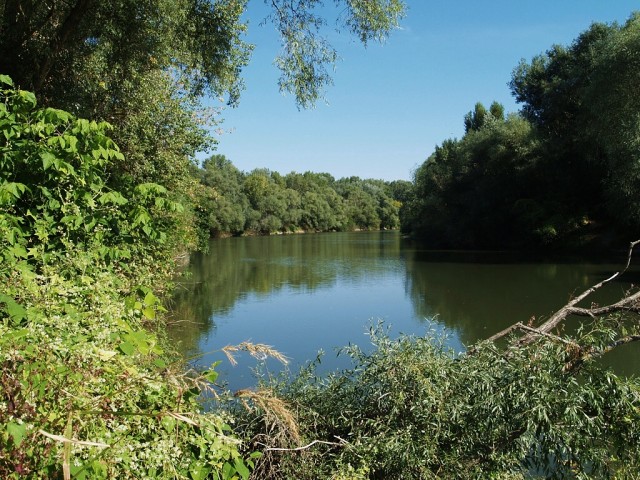 Streda nad Bodrogom