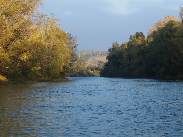 Streda nad Bodrogom