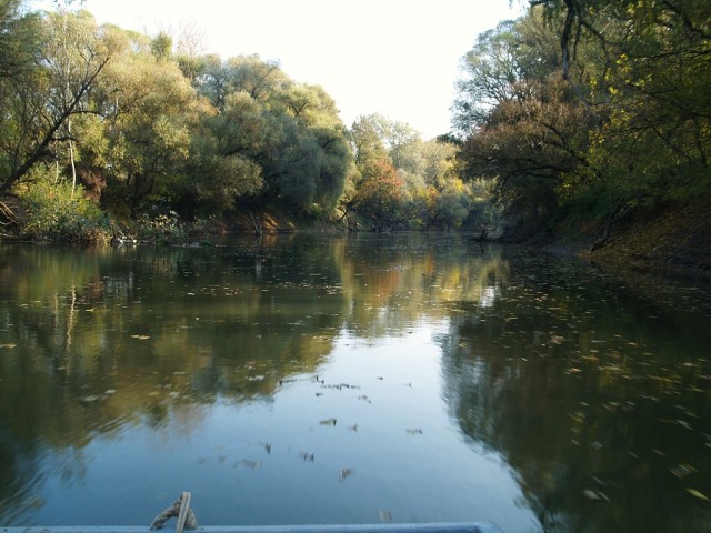 Streda nad Bodrogom
