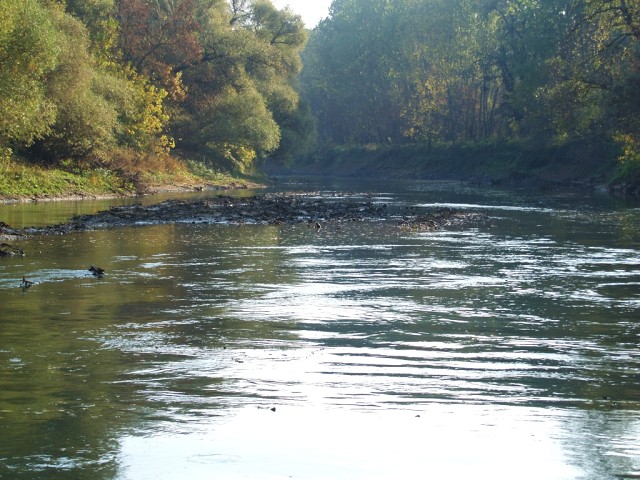 Streda nad Bodrogom