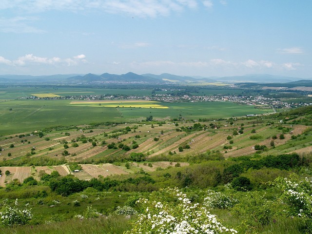 Streda nad Bodrogom